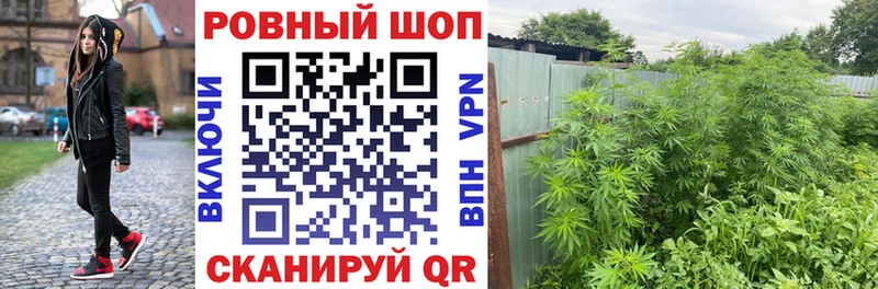 Какие есть наркотики Волгореченск СОЛЬ Меф мяу мяу COCAIN mega вход Галлюциногенные грибы Канабис ГАШ