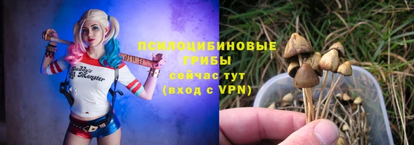 ПСИЛОЦИБИНОВЫЕ ГРИБЫ Белоозёрский