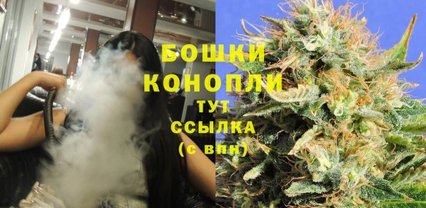 PSILOCYBIN Баксан