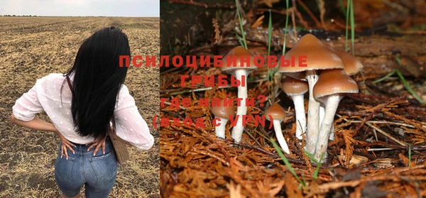 мет Богородицк