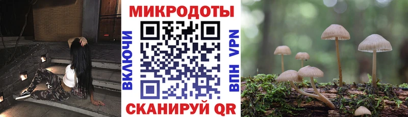 mega ONION  даркнет сайт  Волгореченск  Псилоцибиновые грибы мухоморы 